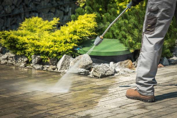 Best Winterizing Services  in Melbourne Beach, FL
